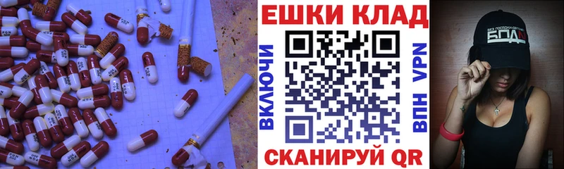 купить наркоту  mega рабочий сайт  ЭКСТАЗИ таблы  Пустошка 