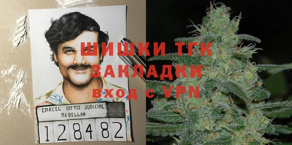 ешки Арсеньев