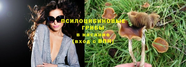соль курить ск Аркадак
