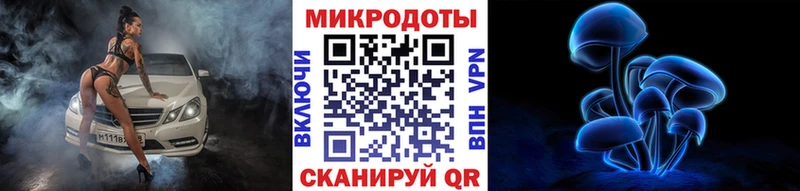 Галлюциногенные грибы Psilocybine cubensis  Пустошка 
